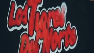 Los Tigres Del Norte - Para Siempre En Vivo