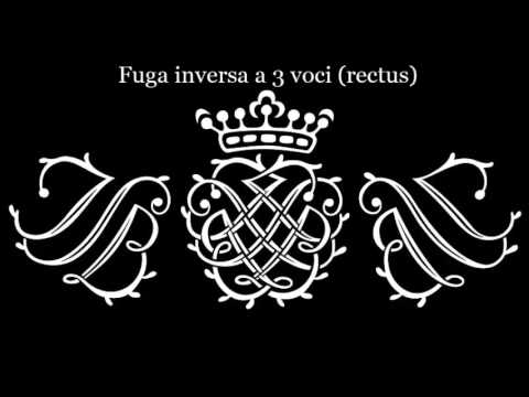 J.S. Bach: Mirror Fugues (Art of Fugue BWV 1080) - Pieter Dirksen