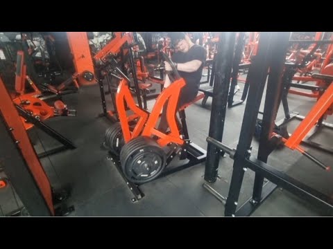 Spring Bulk Day 69-Back