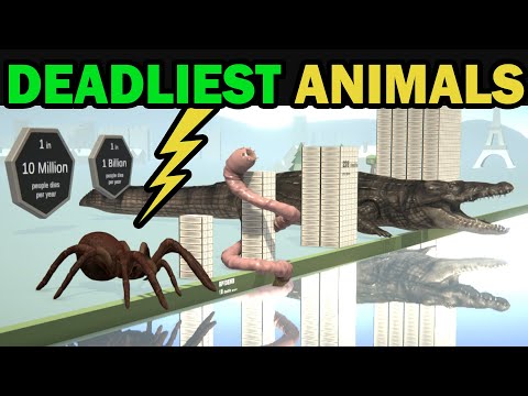 Deadliest Animals in the World Comparison 💀 Probability and Deaths in 2020