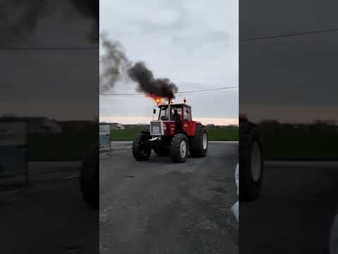 Steyr 8150 turbo loonwerkendecock