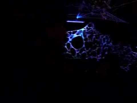 Pigilia Sanrell 26.12.2007