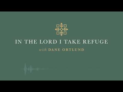 In the Lord I Take Refuge: Psalm 33 - The Steadfast Love of the Lord