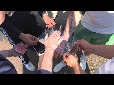 The Fall by Noel Qualter