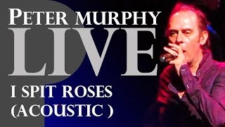 Peter Murphy Full HD &quot;I Spit Roses&quot; Acoustic live Los Angeles 2014