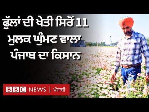 Flower Farming ਰਾਹੀਂ Fatehgarh ਦੇ ਕਿਸਾਨ ਨੇ ਵਿਦੇਸ਼ਾਂ ਦੇ ਦੌਰੇ ਕੀਤੇ ਤੇ ਹੋਰ ਕਿਸਾਨਾਂ ਦੀ ਵੀ ਜ਼ਿੰਦਗੀ ਸਵਾਰੀ