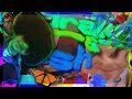 YTP Drake Hates Insects Turns Josh Insane