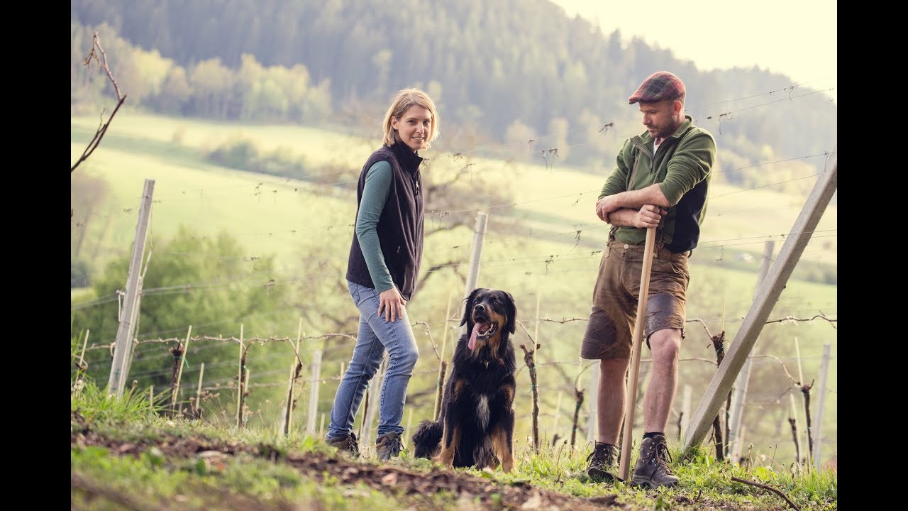 Weingut Georgium