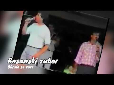 BOSANSKI ZUBOR // Obralo se voce