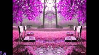 VOLVERAS LOS TEMERARIOS