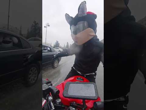 🤣🤣🤣 #automobile #motovlo #trending #furry #funny #biker #trendingshorts #cute #furries #bikers