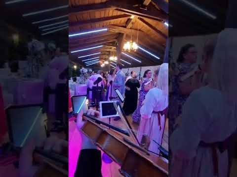 🔴 Taraful Adrian Purice 2022 - Cover noapte albastră formație nunta Botoșani