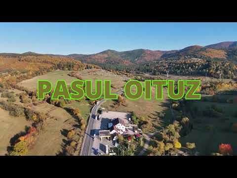 PASUL OITUZ    2025