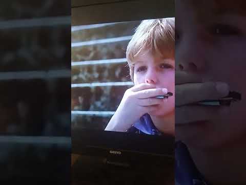 free willy swimaround