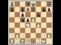 Scotch Game Scotch Gambit