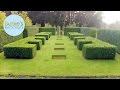Burke S Backyard How To Plant A Hedge