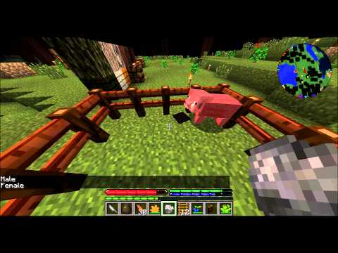 terrafirmacraft LP ep 4- pig pen and house building
