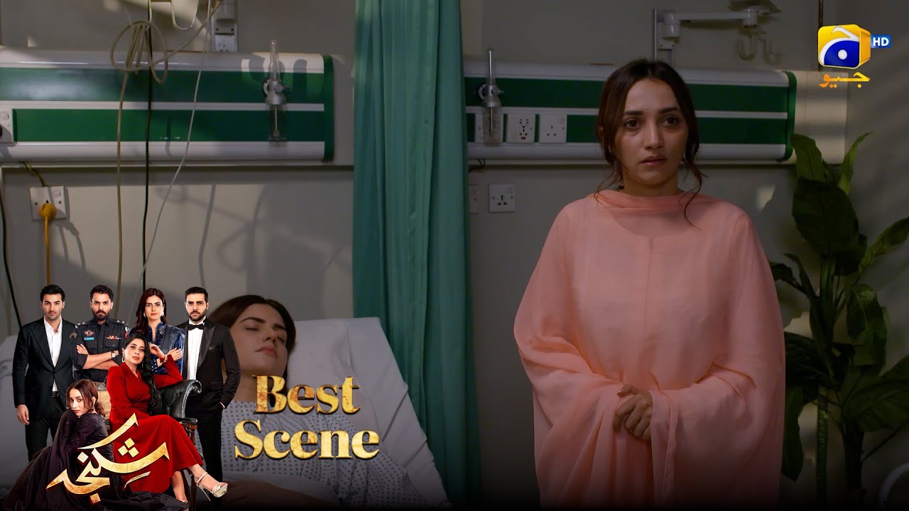 Shikanja Episode 48 | 𝐁𝐞𝐬𝐭 𝐒𝐜𝐞𝐧𝐞 𝟎𝟏 |  Azekah Daniel - Asad Siddiqui - Furqan Quresh | Har Pal Geo