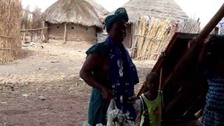 preview picture of video 'Chicken for lunch: Bisandugu (Gambia)'