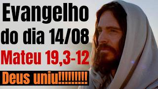 Evangelho do dia com reflexão, Sexta-feira 14/08, Mt 19,3-12