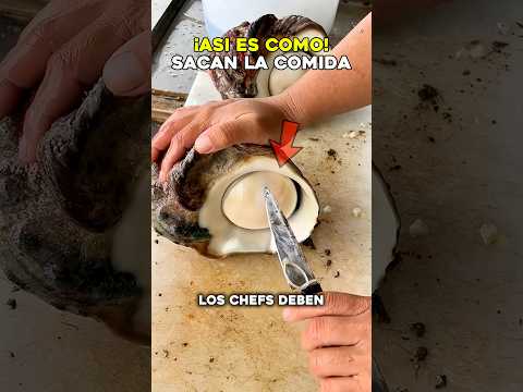 ¿Por qué los chefs deben sacar la carne del abulón en el momento exacto o no podrán abrirlo? 🐚