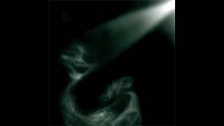 Kreng - The Black Balloon & The Armadillo