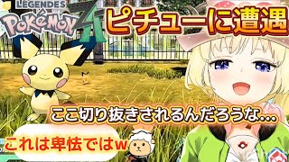 【 Pokémon LEGENDS Z-A 】どうしてもピチューを捕まえたい!遂に卑怯な戦い方を知ってしまったわため【ホロライブ切り抜き/角巻わため】