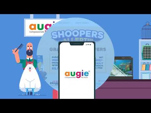 Videos from Augie Pet Accessories Store