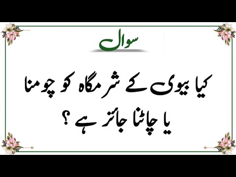 Islamic Sawal Jawab | Amazing Islamic Quiz | Top Islamic Question And Answer| Urdu Quiz| Sawal Jawab