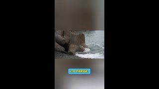 El valor de ser honesto