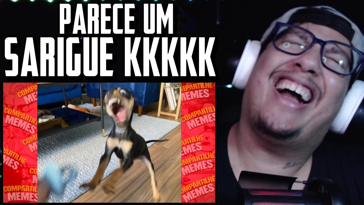 Compilado de MEME ♦ Tente não rir - {27}