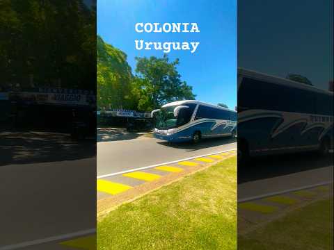 COLONIA Uruguay 🇺🇾☀️ viendo la terminal de ómnibus y la portuaria.