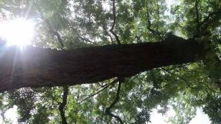 tu y yo gerardo ortiz (OFICIAL)