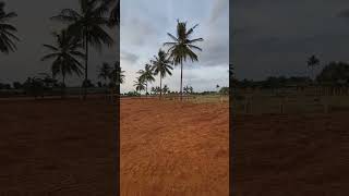  Agricultural Land for Sale in Hoskote, Bangalore