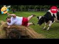 Try Not To Laugh Challenge 99 Will Fail Funny Videos Compilation 2026 209