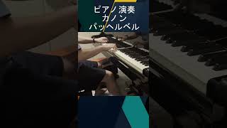 Download lagu 【ピアノ演奏Shorts】カノン/パッヘルベル #ピアノ #ピアノ演奏 mp3