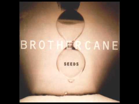 Brother Cane - Bad Seeds