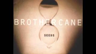 Brother Cane - Bad Seeds