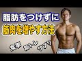 【減量後】体脂肪を付けずに筋肉を増やすための食事の戻し方・トレーニング・サプリメントについて