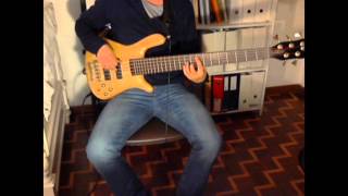 moloko - familiar feeling (bass cover)