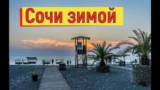 🔴🔴 Отдых в Сочи зимой. Море в Сочи зимой.Туристы на пляже загорают. Котики.Рыбаки на море.Сочи.