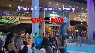 French Sea Creatures - Visit GA Aquarium - C.I. Video