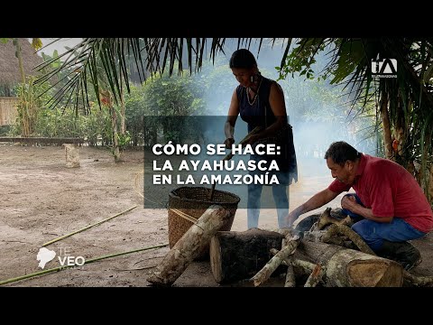 TE VEO ECUADOR : CÓMO SE HACE: LA #AYAHUASCA EN LA #AMAZONIA