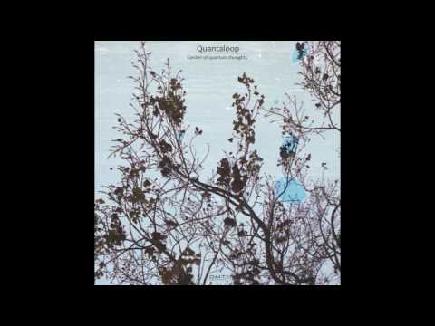 Quantaloop - Rolling tomatoes (Original Mix)