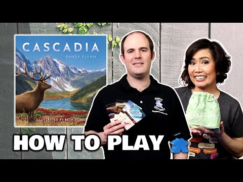 Cascadia - How to Play Board Game