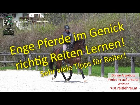 F134 Durchlässigkeit durch Tempounterschiede Übergänge im Galopp. Halbe Parade, Volte/Tour Reiten
