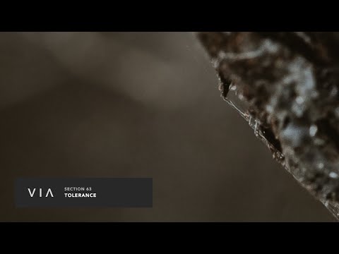 Section 63 - Go With It [Premiere]