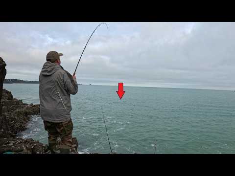 Pêche du congre et du homard : de la capture à l'assiette !