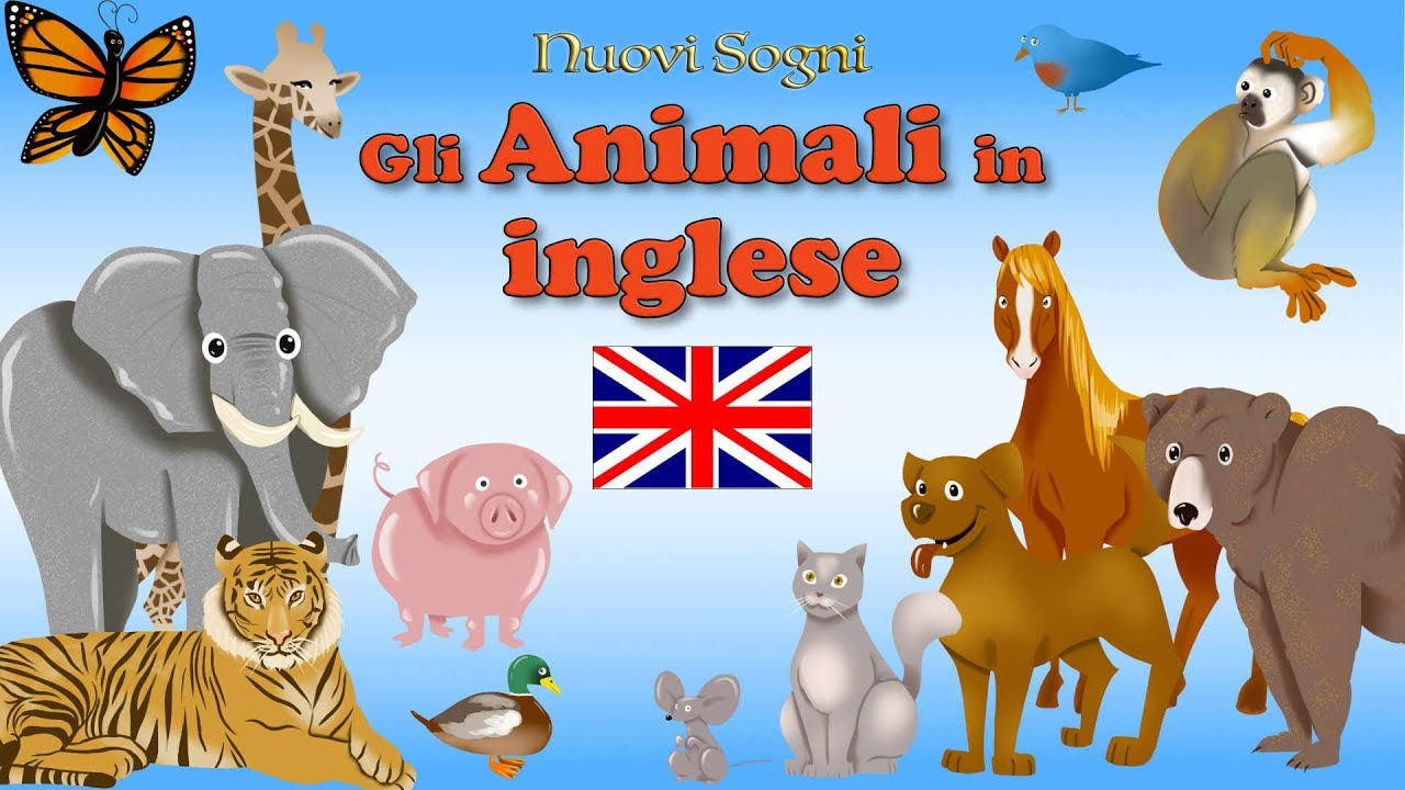 Gli animali in inglese - Nuovi Sogni