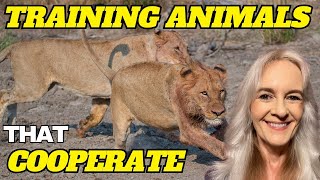 Group Learning (AKA Cooperative Learning) and Behavior